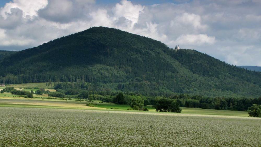 Agroturystyka Pod Sniezna Bystrzyca Kłodzka Kültér fotó